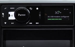 Parrot Asteroid