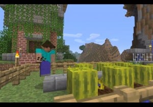 Minecraft Adventure Update