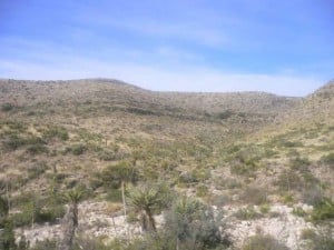 New Mexico