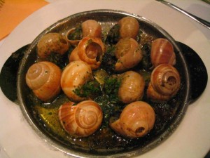 Snail food