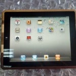 Walnut And Bamboo iPad 2 Case