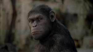 Angry Ape