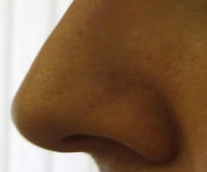 Human Nose