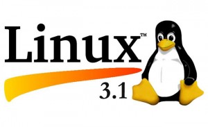 Linux Kernel 3.1