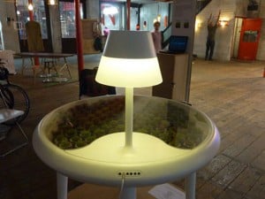 Moss Table