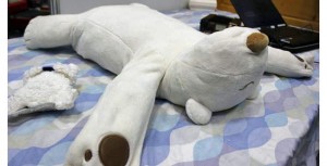Polar Bear