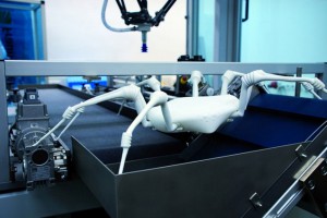 Robotic Spider