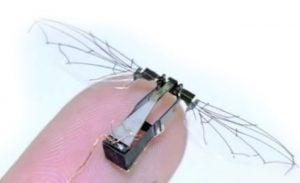 Surveillance Insects