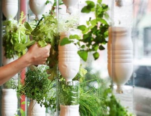 Windowfarm