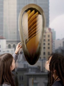 The Urban Beehive