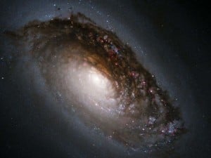 Black Hole