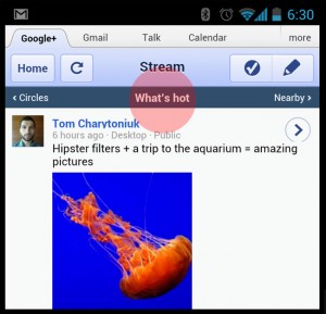 Google What Hot Mobile
