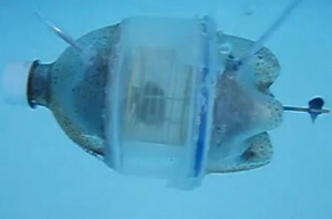 Hamster Submarine