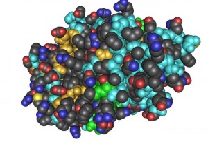 Thrombin