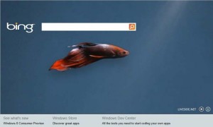 Windows 8 Consumer Preview