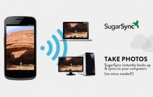 SugarSync