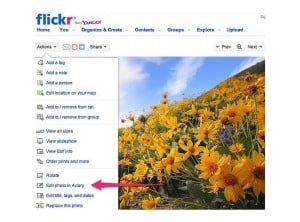Flickr Aviary Photo Editing