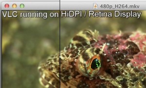 VLC Retina
