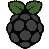 Adafruit Raspberry Pi Occidentalis v0.1Custom