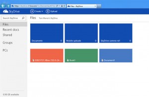 Skydrive Metro