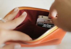 Everpurse