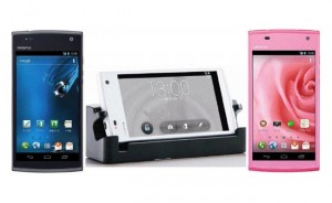 Kyocera Dingo S