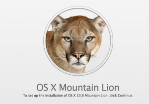 Mountain Lion