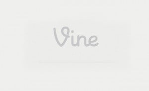 Vine