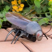 iPhone Controlled Insects, Will Creep Out Your Friends (video)
