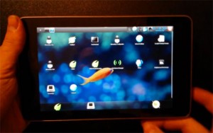 Bodhi Linux Nexus 7