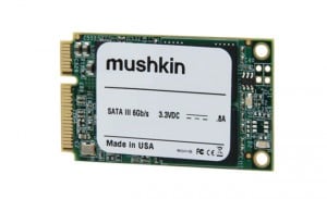 Atlas 480GB mSATA