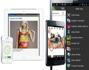 Dolphin Browser