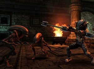 Alien vs Predator Evolution