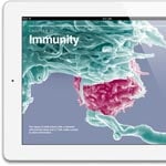 iPad 5