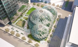 Amazon Biosphere