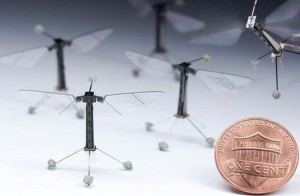 Flying Robot Insect