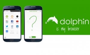 Dolphin Browser