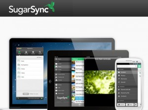 SugarSync