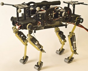 catbot
