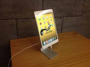 SLiM Stand