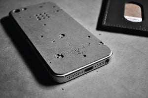 Luna iPhone Skin