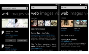 Bing Windows Phone 8
