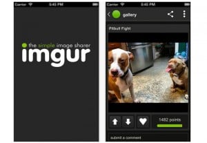 Imgur iOS App