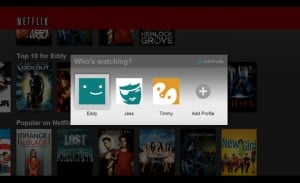 Netflix Multiple User