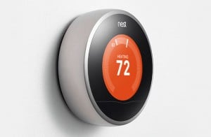 Nest
