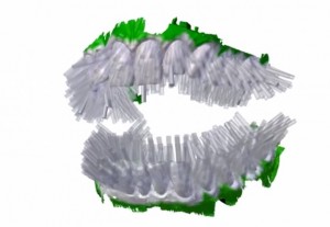Blizzident 3D Printed Toothbrush