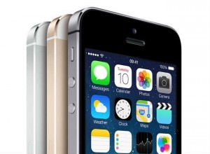 iPhone 5S