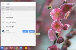 Google Chrome