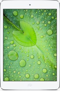 Retina iPad Mini 2