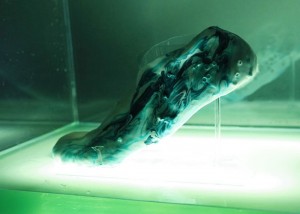 Protocells Trainer